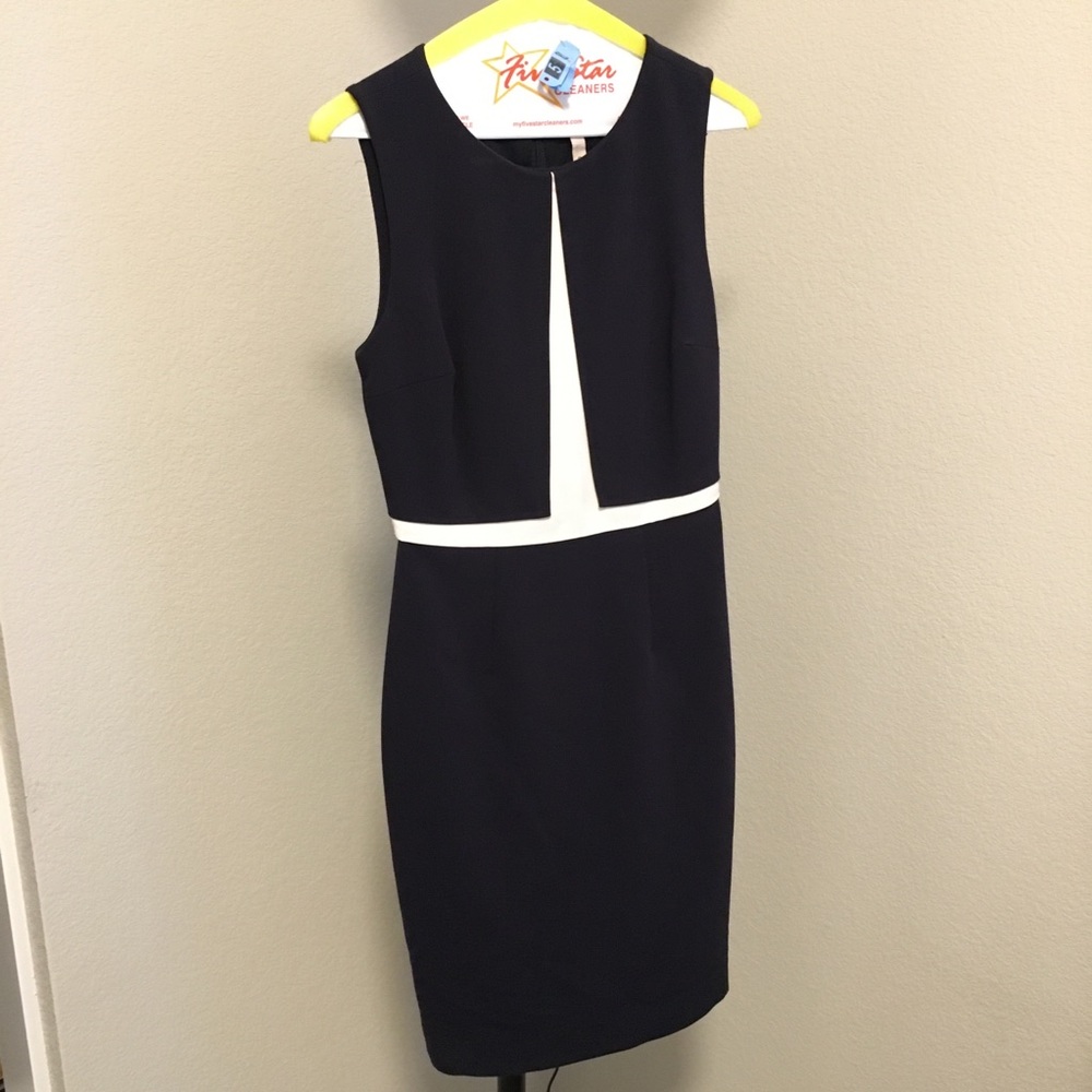 The Limited Dress Navy Blue White Fitted